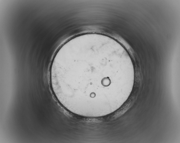 X0000116600807200912111113
