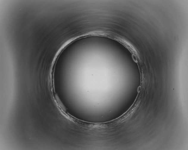 X0000116600808200912111113