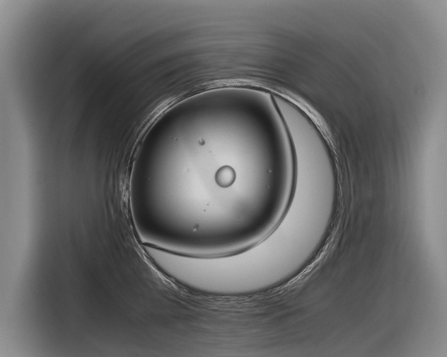 X0000116600809200912111113