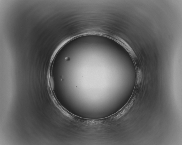 X0000116600812200912111113