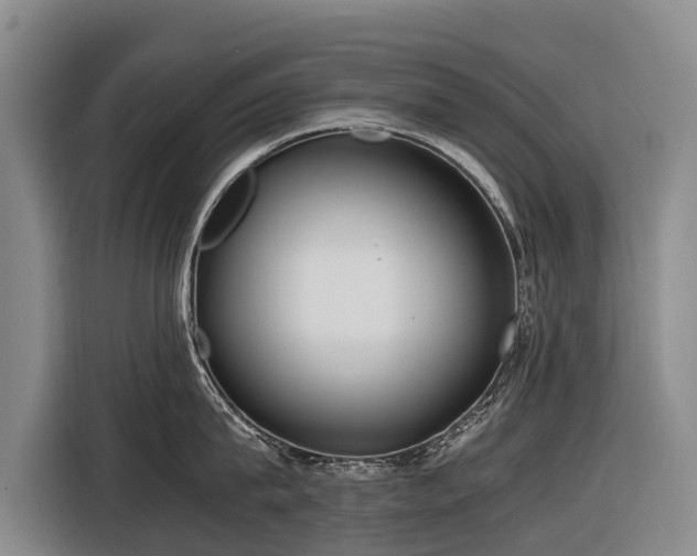 X0000116600815200912111112