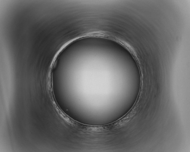 X0000116600816200912111112