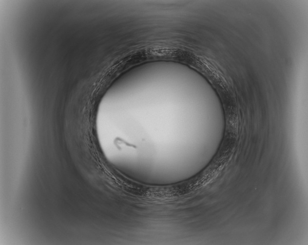 X0000116600817200912111112