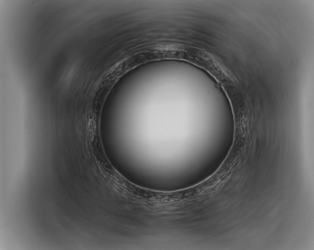 X0000116600821200912111112