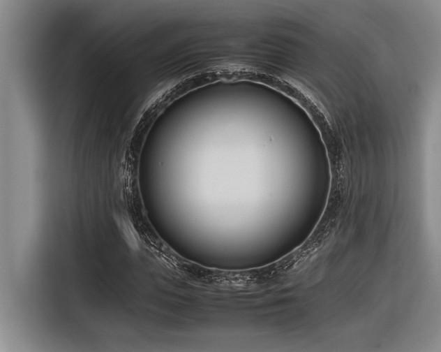 X0000116600823200912111112