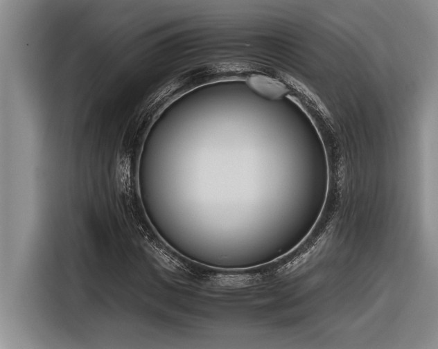 X0000116600825200912111112