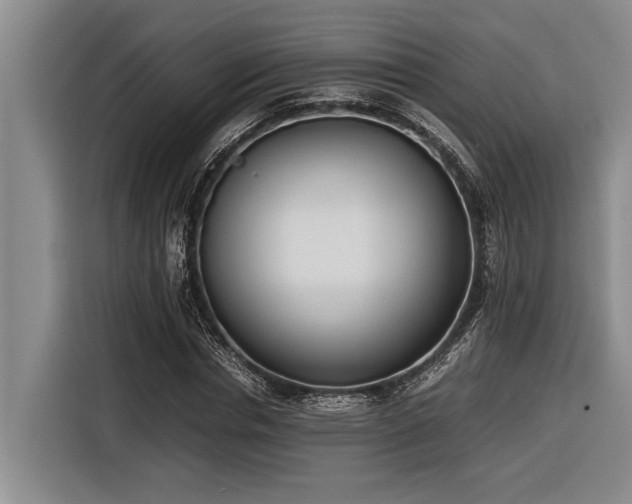 X0000116600826200912111112