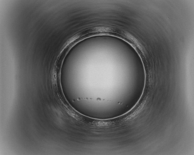 X0000116600827200912111112