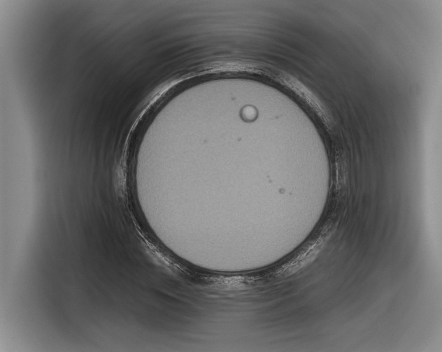 X0000116600828200912111112