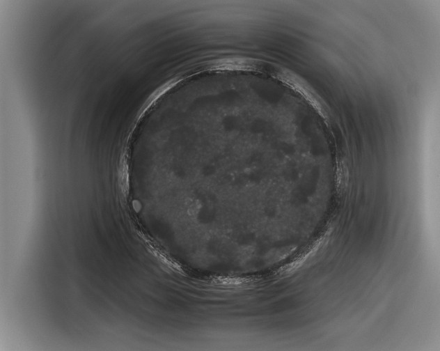 X0000116600829200912111112