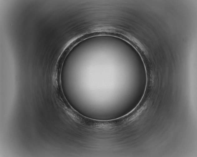 X0000116600830200912111112