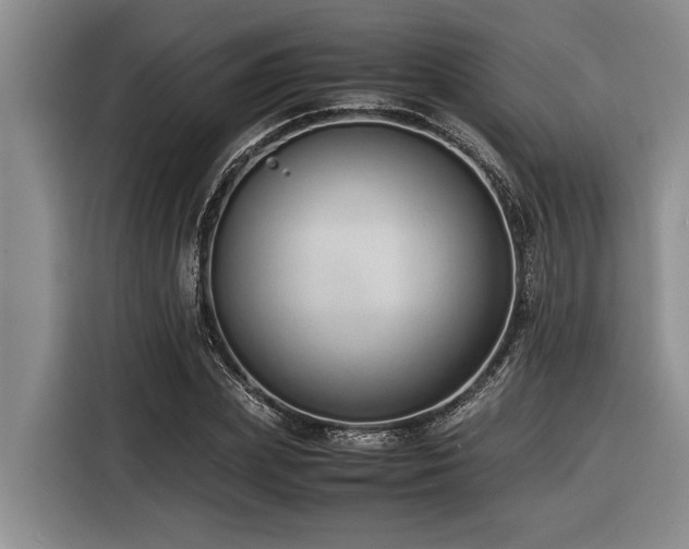 X0000116600831200912111112