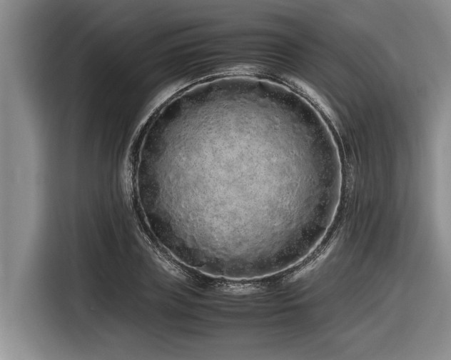X0000116600835200912111112