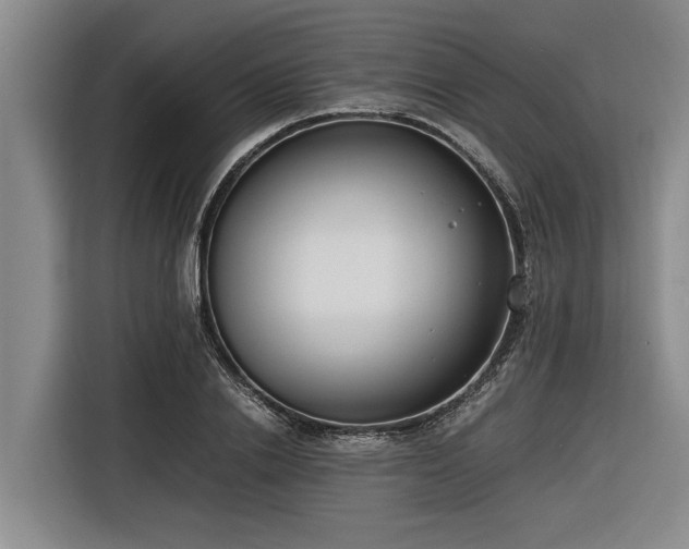 X0000116600838200912111112