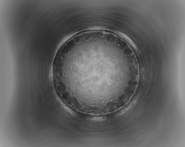 X0000116600839200912111112