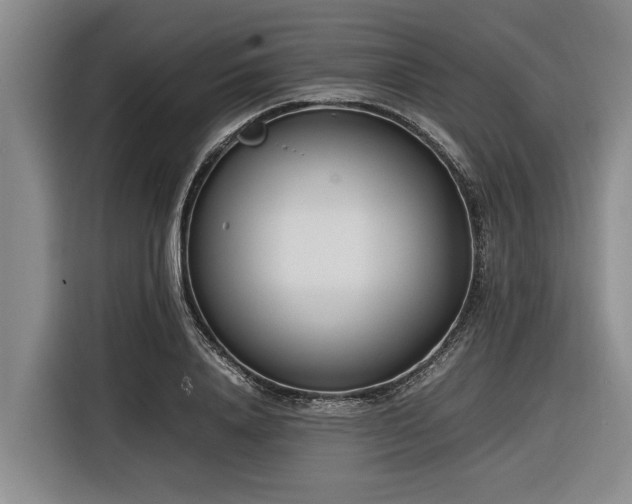 X0000116600840200912111112