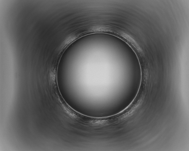 X0000116600841200912111112