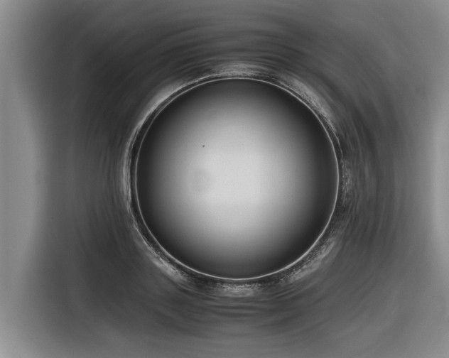 X0000116600843200912111112