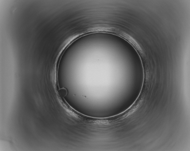 X0000116600844200912111112