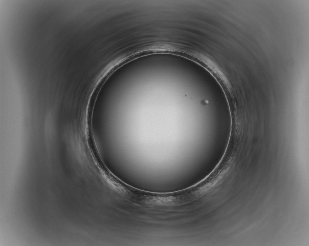 X0000116600845200912111112