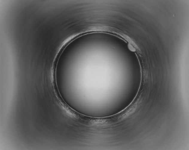 X0000116600846200912111112