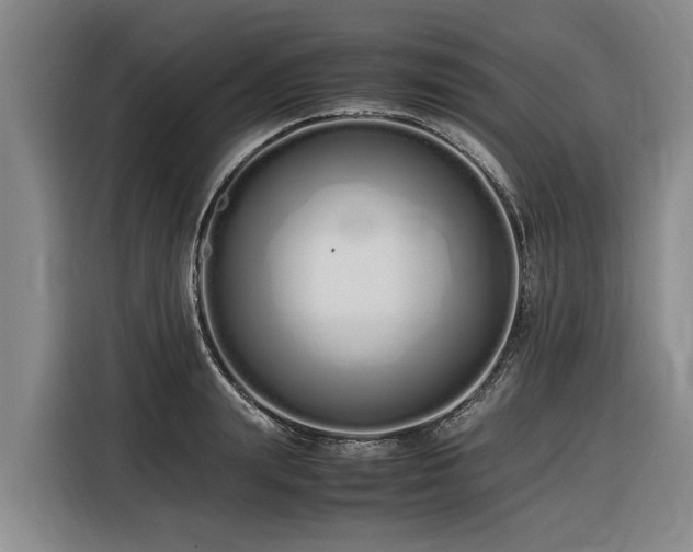 X0000116600847200912111112