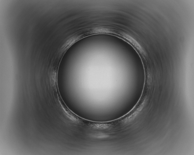 X0000116600849200912111112