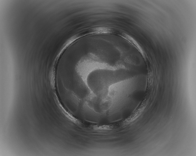 X0000116600851200912111112