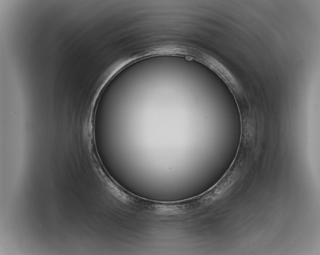 X0000116600852200912111112