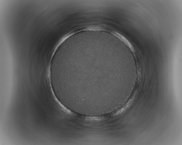 X0000116600855200912111112