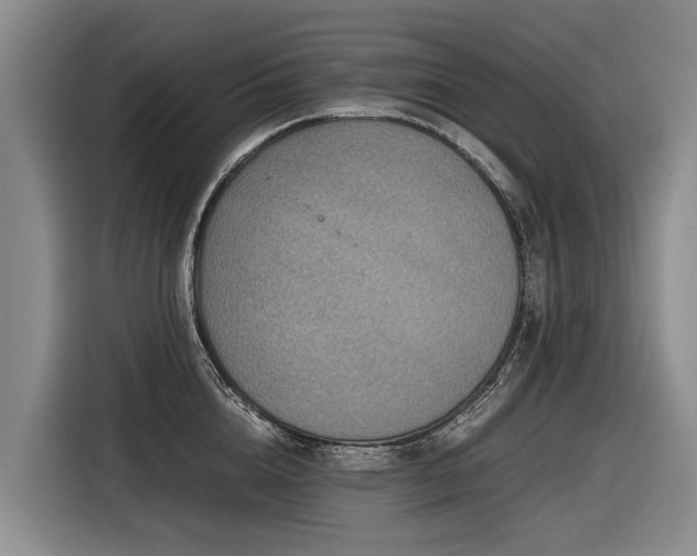 X0000116600856200912111112