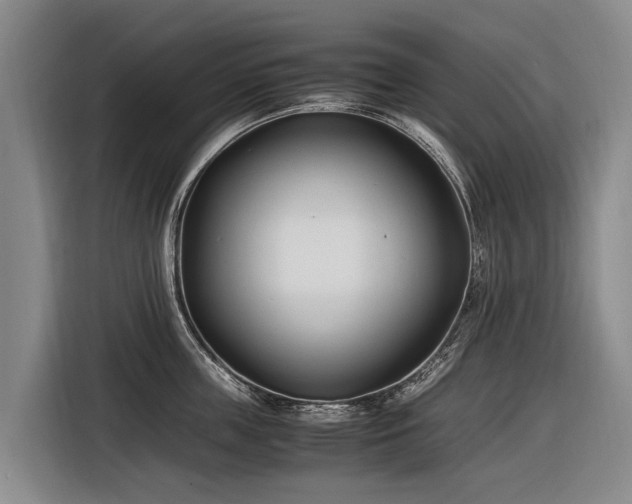 X0000116600859200912111112