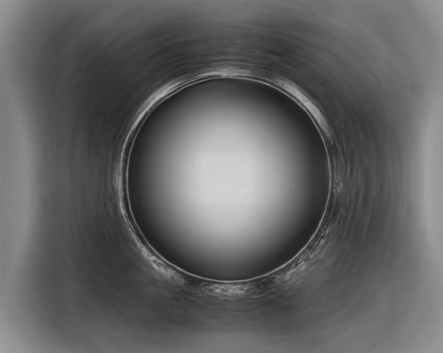X0000116600861200912111112