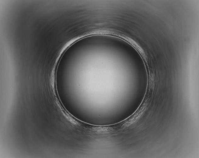 X0000116600862200912111112