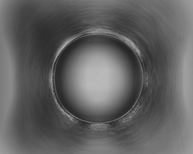 X0000116600863200912111112