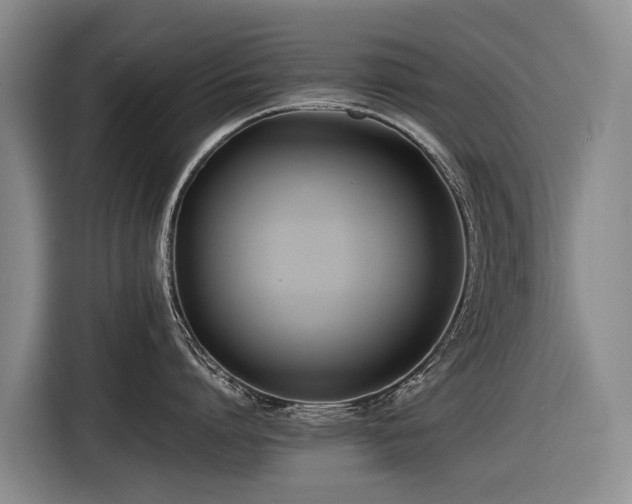 X0000116600864200912111112
