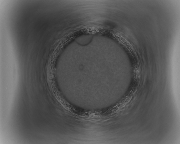 X0000116600865200912111112