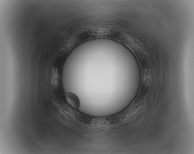 X0000116600866200912111112