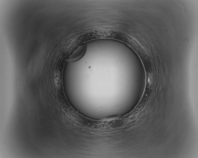 X0000116600867200912111112