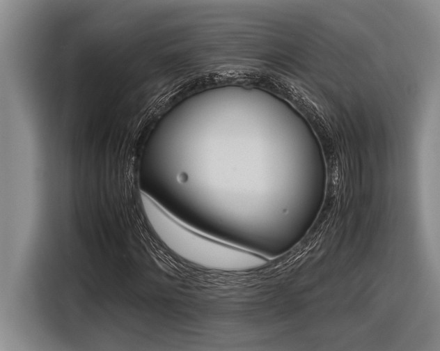 X0000116600868200912111112