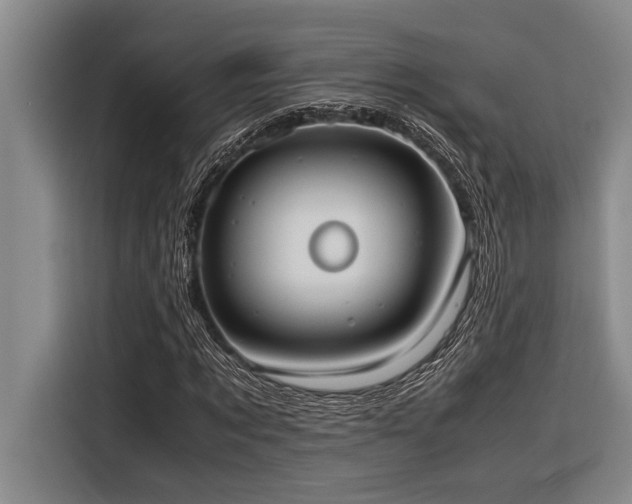 X0000116600869200912111112