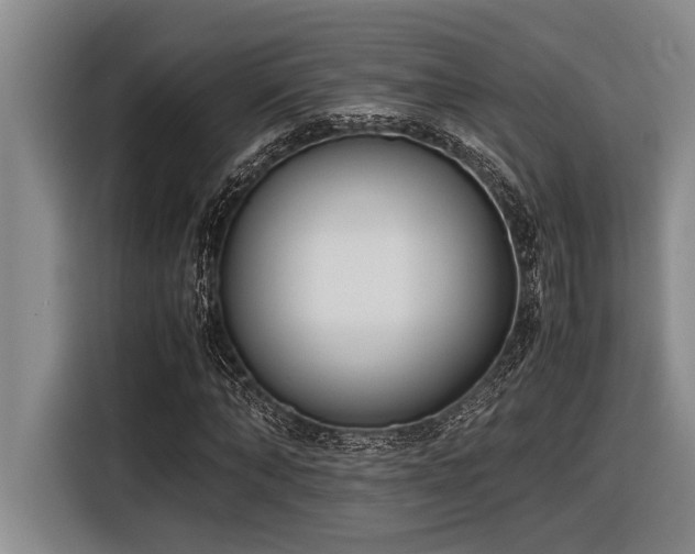 X0000116600870200912111112