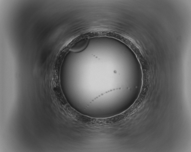 X0000116600871200912111112