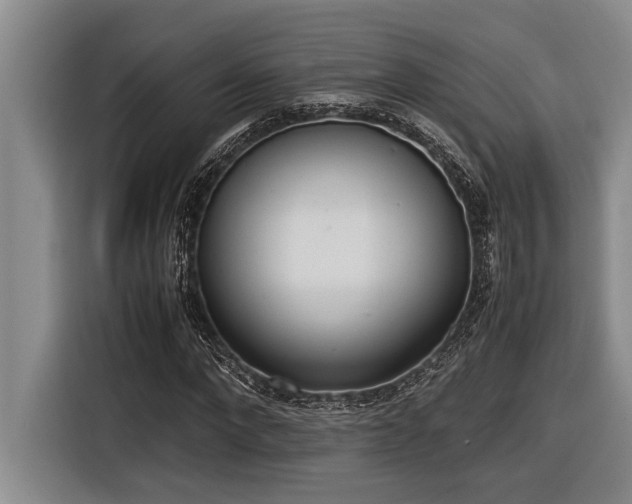 X0000116600872200912111112