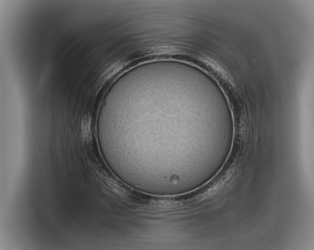 X0000116600873200912111112
