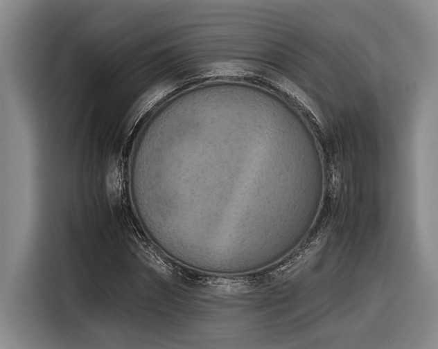 X0000116600874200912111112