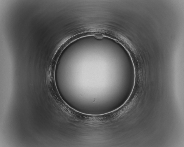 X0000116600875200912111112