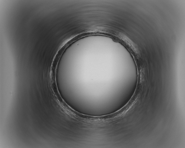 X0000116600876200912111112