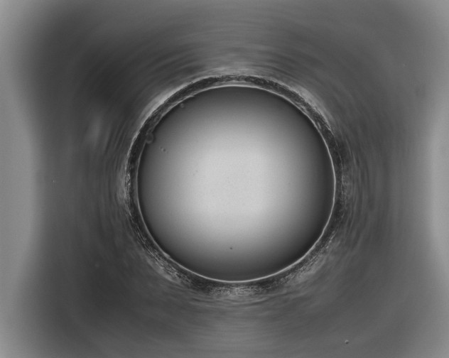 X0000116600879200912111112