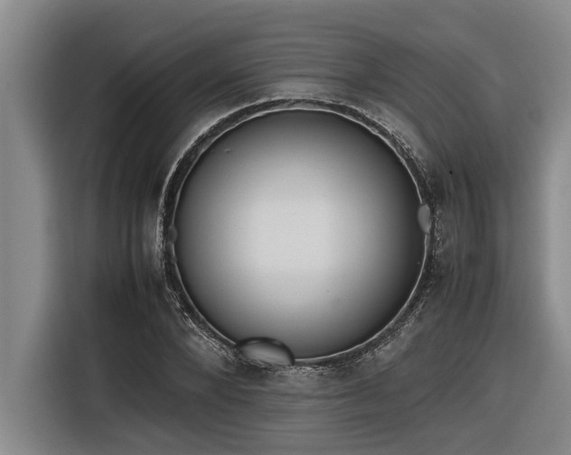 X0000116600880200912111112